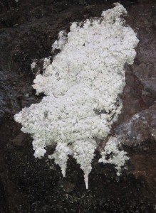 Calcium Carbonate (Popcorn) Precipitates