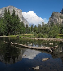 Meadow Fire-Yosemite National Park 4